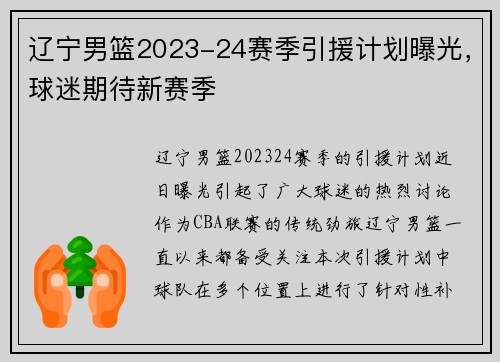 辽宁男篮2023-24赛季引援计划曝光，球迷期待新赛季