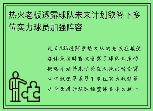 热火老板透露球队未来计划欲签下多位实力球员加强阵容